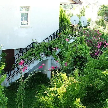 Apart-hotel Gultepe 3*